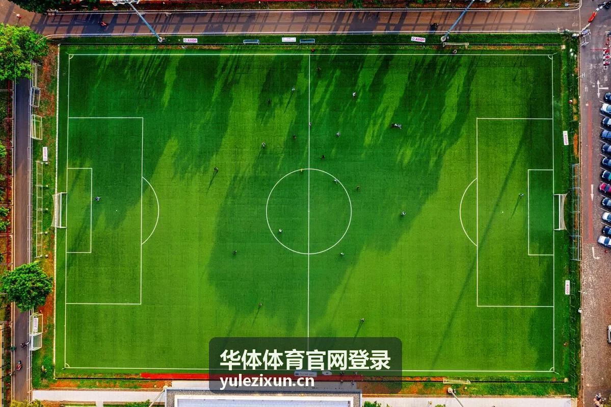 华体体育官网登录资讯配图